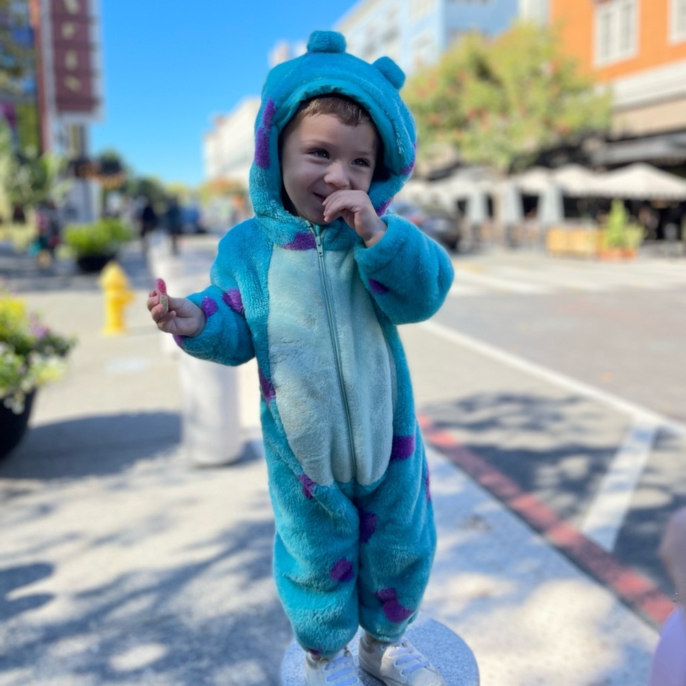 Disney Monsters Inc. Sulley Costume - Blue and Purple